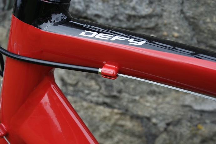 Giant defy online red